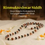 Rinmukteshwar Siddh Divya Rudraksha Karungali Mala - Silver Capped