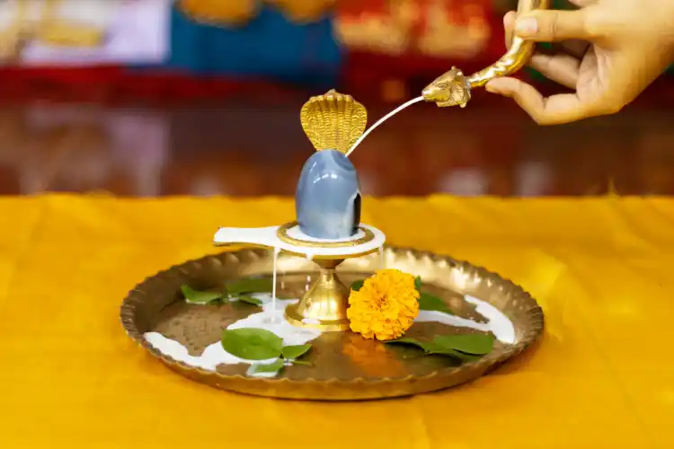 Rudrabhishek Pooja